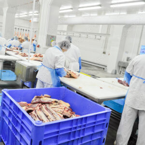 Meat Seafood and Poultry Industry