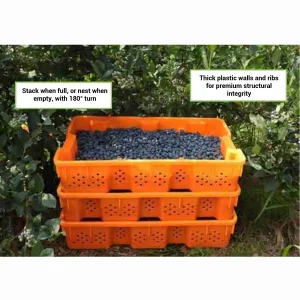 Large Agricultural Ventilated Container