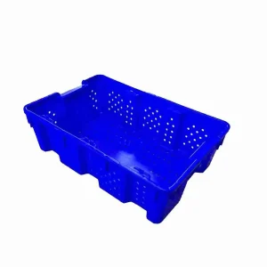 Large Agricultural Extra Ventilated harvest Container