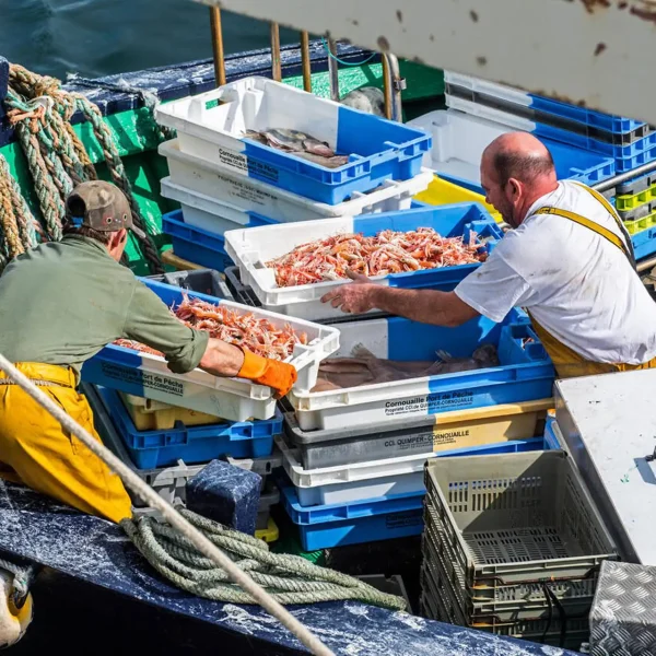 Aquaculture Industry